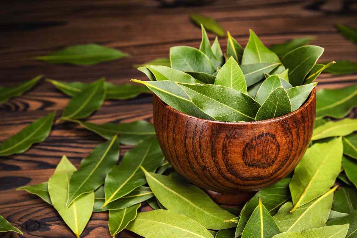 Alloro in camera da letto: ecco quali risultati ottieni