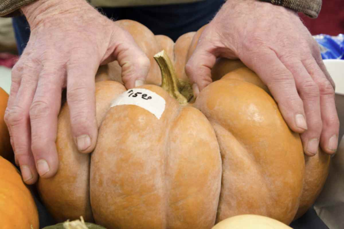 L’autunno italiano regala paesaggi incantevoli grazie al fenomeno del foliage, quando i boschi si tingono di rosso, arancione e giallo