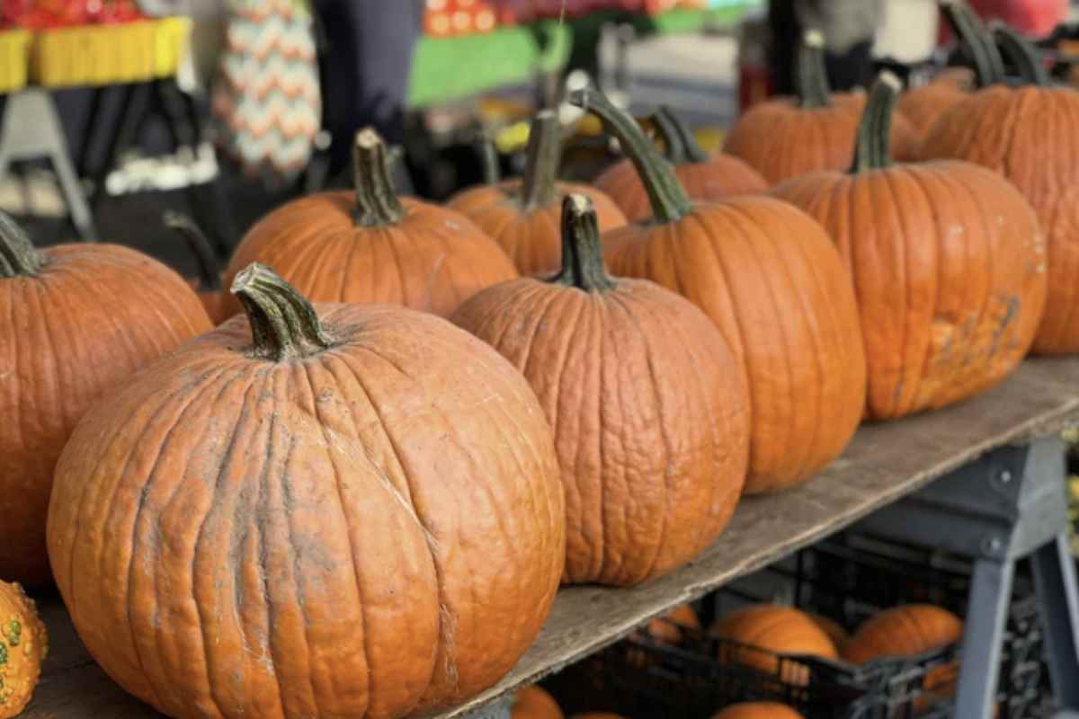 A poco più di un’ora da Milano, nel cuore dell’Emilia, il Fidenza Village propone un viaggio sensoriale dedicato al “Re dei Formaggi