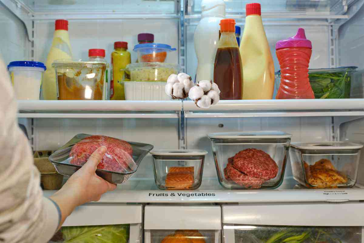 Frigorifero, da quando ci metto dentro del cotone ho risolto due grandi problemi, i dettagli