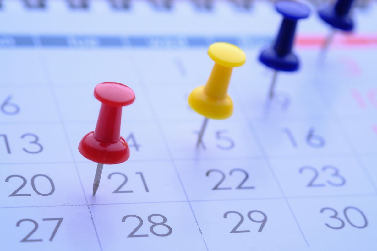 Tasse, le date di novembre da cerchiare nel calendario