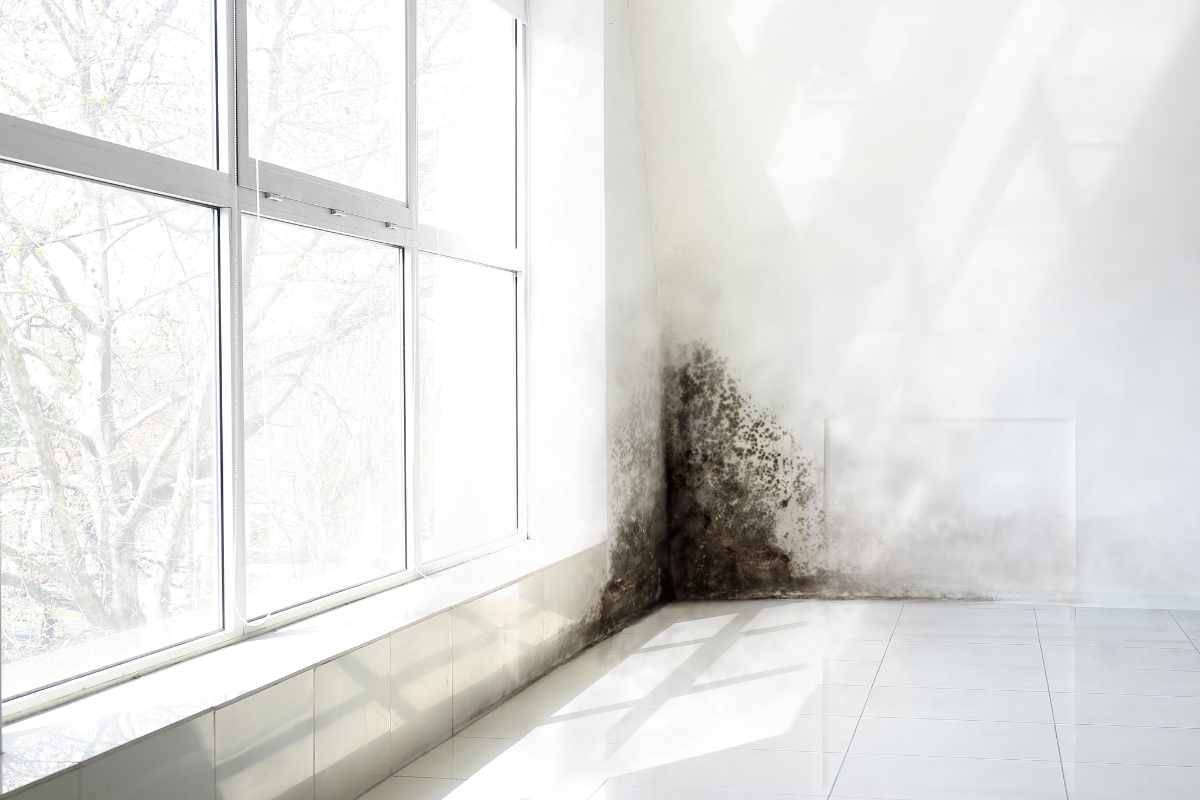 Il trucco per togliere l'umidità dal muro, non devi nemmeno strofinare